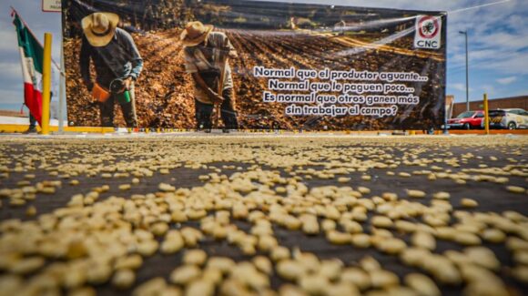 Este martes se pagará apoyo pendiente de $750 por tonelada de maíz a productores agrícolas de Sinaloa: Rocha