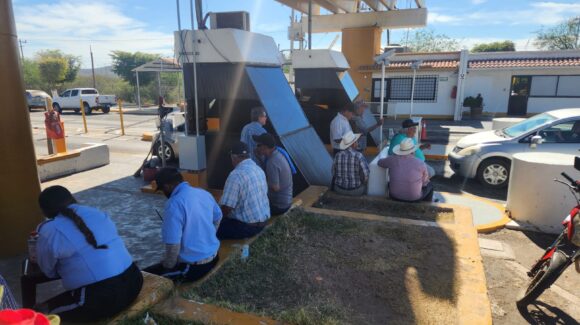 Aplauden productores sinaloenses que se paguen los 750 pesos por tonelada de maíz