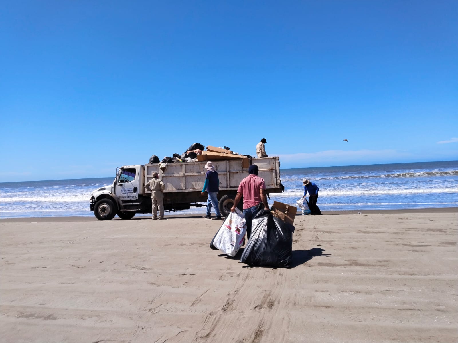 Recolección de basura en playa Las Glorias