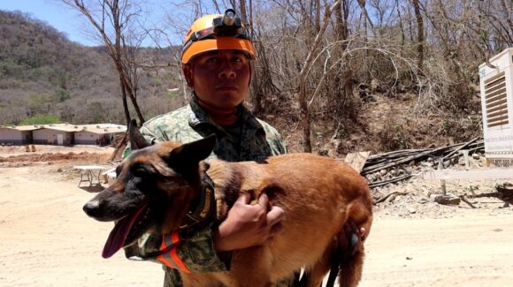 La unión entre rescatistas y binomios caninos, una incansable búsqueda que inspira a no rendirse en la mina Santa Fe en El Rosario, Sinaloa