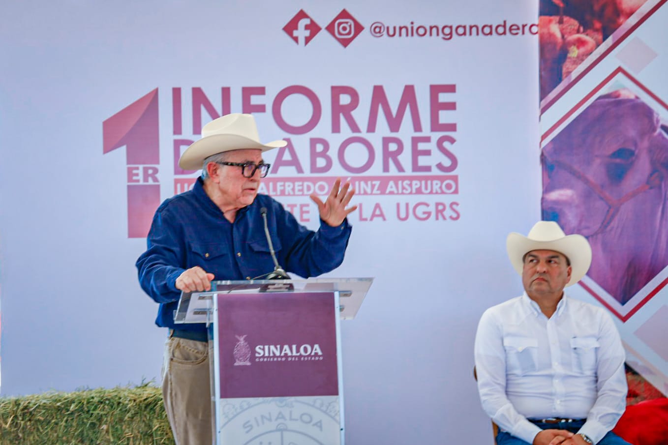 Gobernador Rocha Moya
