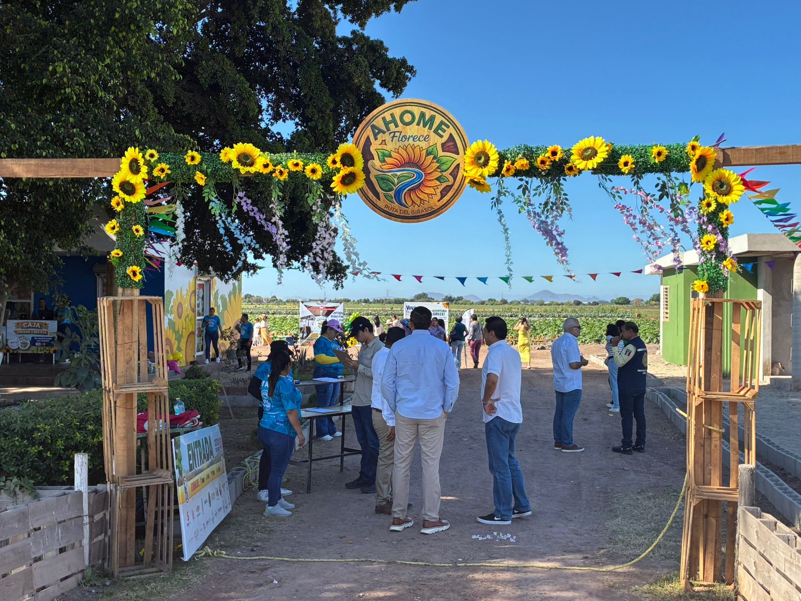 Inauguran el corredor turístico ‘Ahome Florece’ en el ejido Flores Magón