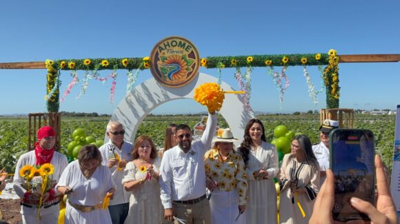 Inauguran el corredor turístico ‘Ahome Florece’ en el ejido Flores Magón; lugar que entre girasoles siembra identidad y futuro en el campo
