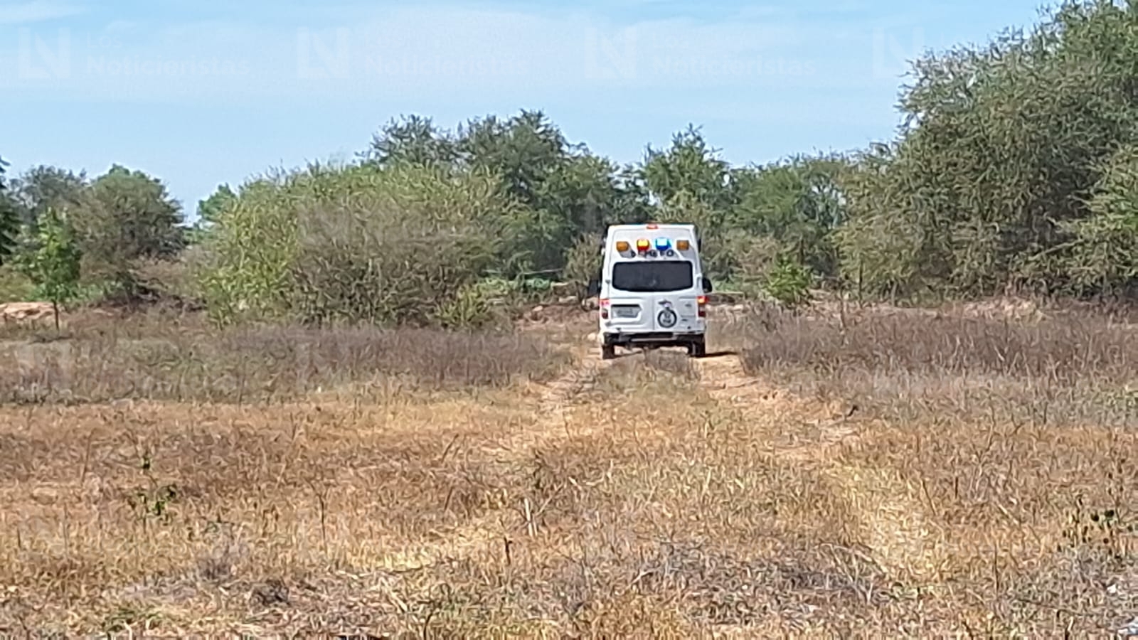 Semefo investiga fosa clandestina en Aguaruto, Sin.