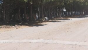 topes en guasave sin