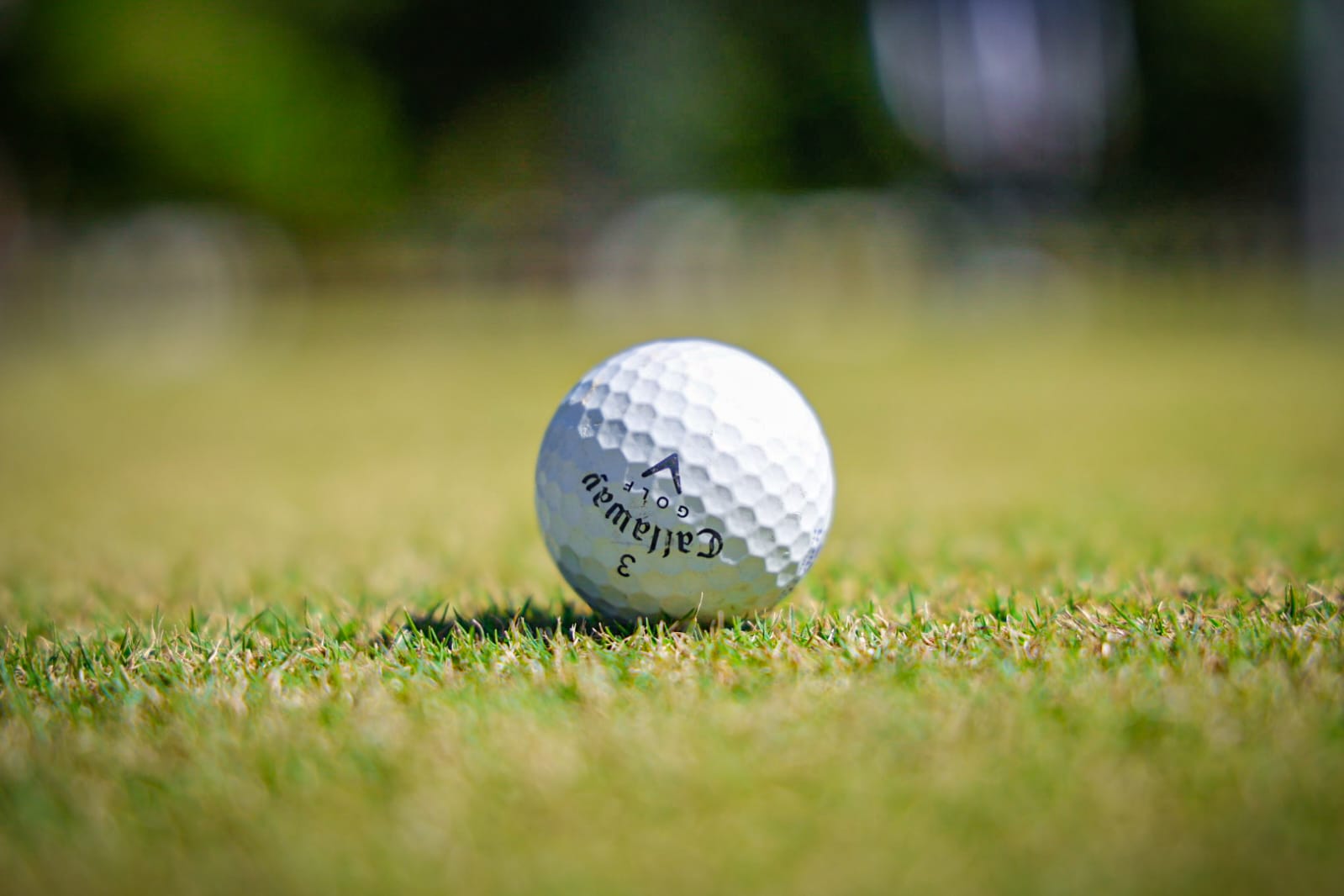 Torneo de Golf Exatec Blue Open