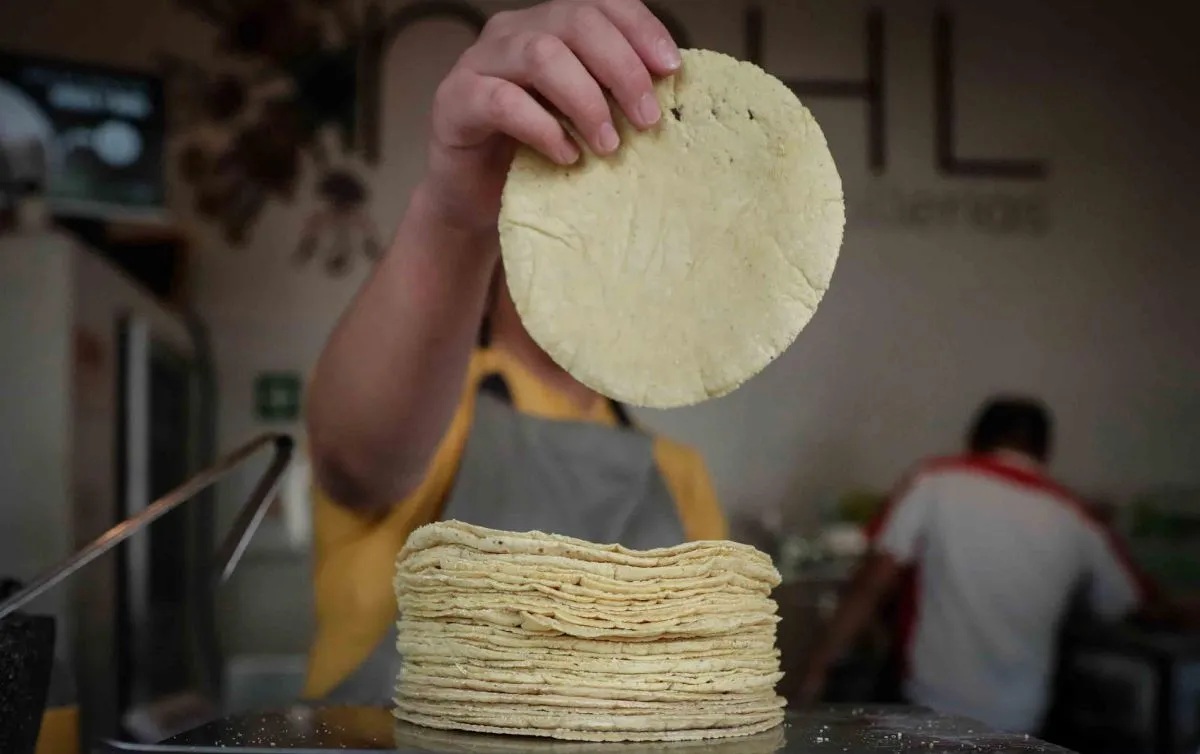Tortillas de maíz