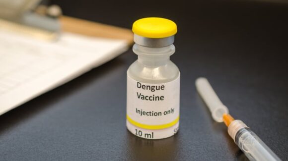 ¡Contra el dengue! Desarrollan nueva vacuna contra la enfermedad viral que afecta a millones de personas al año