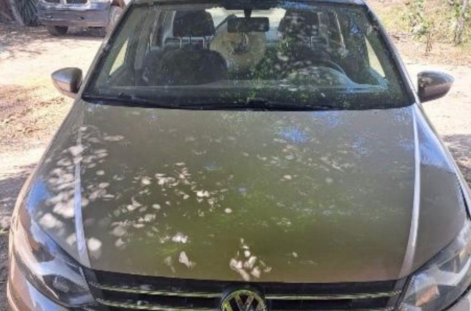 Vehículo asegurado en Sinaloa