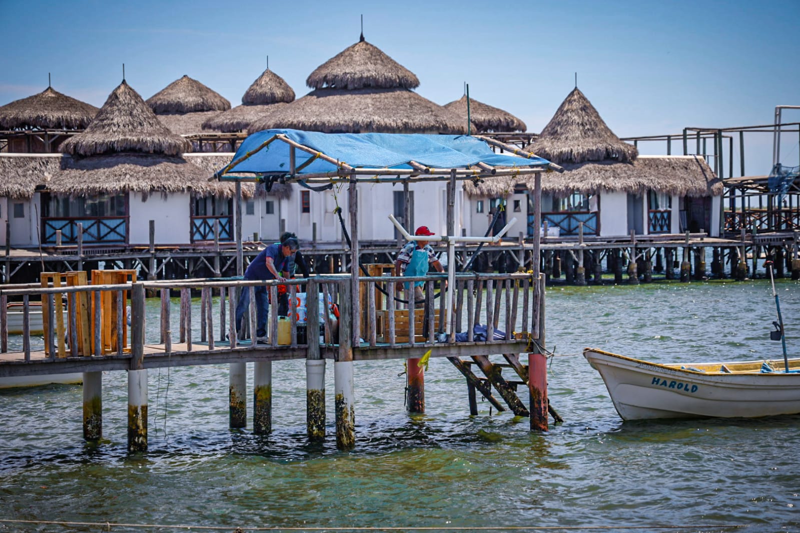Visitantes disfrutan de Altata, Navolato