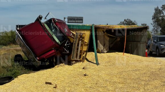 Tractocamión cargado con maíz queda volcado sobre la México 15 en la entrada de Los Mochis, Sinaloa