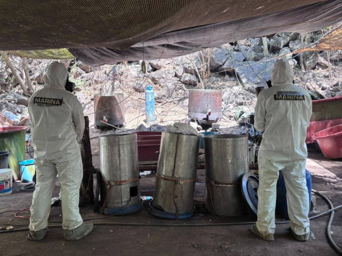 Autoridades desmantelan cinco narcolaboratorios en Sinaloa, Jalisco y Nayarit