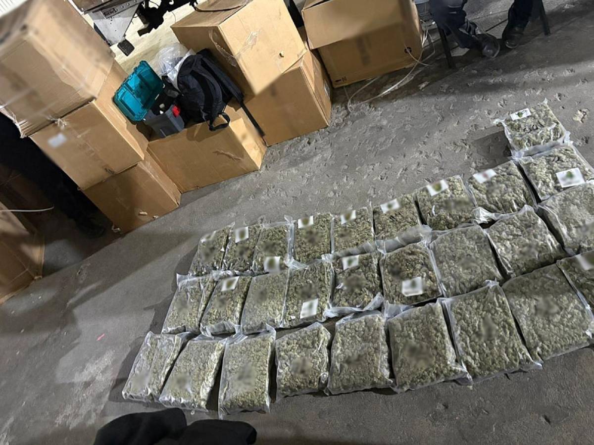 Detienen a una persona y aseguran 761 kilos de mariguana en Coahuila