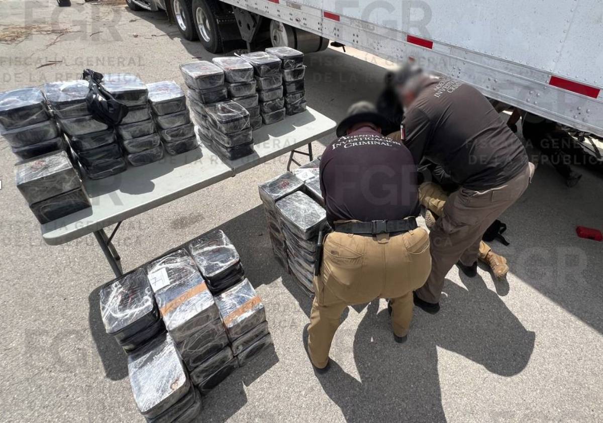 FGR asegura casi una tonelada de metanfetamina oculta entre jícamas en Durango