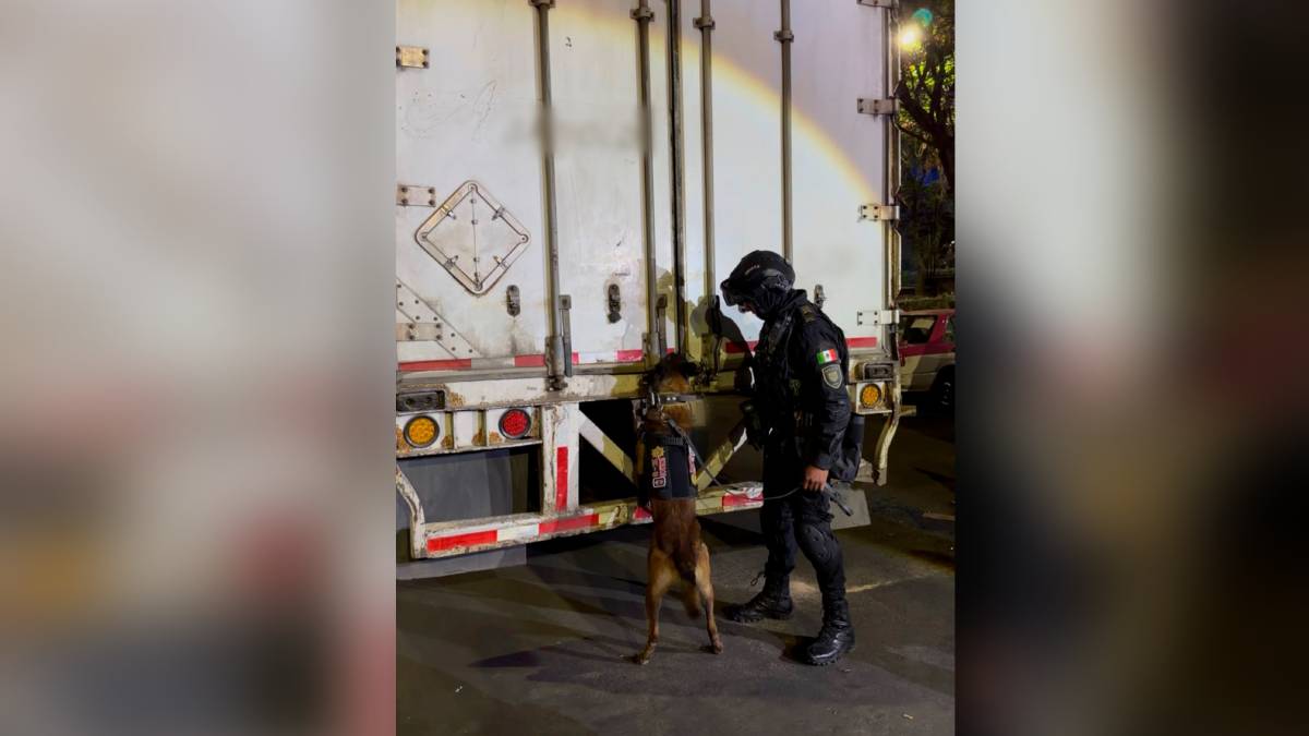Detienen a cuatro con más de una tonelada de droga oculta en cajas de huevo en CDMX
