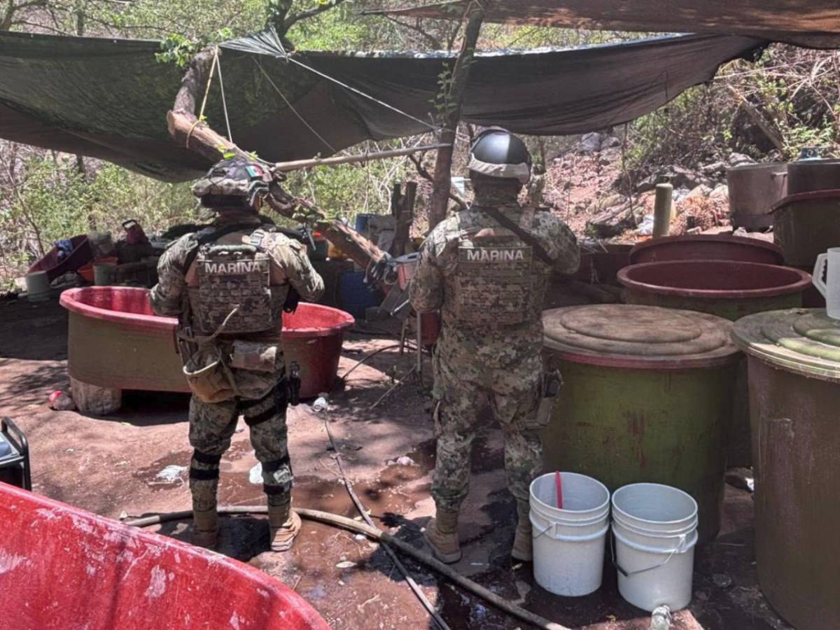Autoridades desmantelan cinco narcolaboratorios en Sinaloa, Jalisco y Nayarit