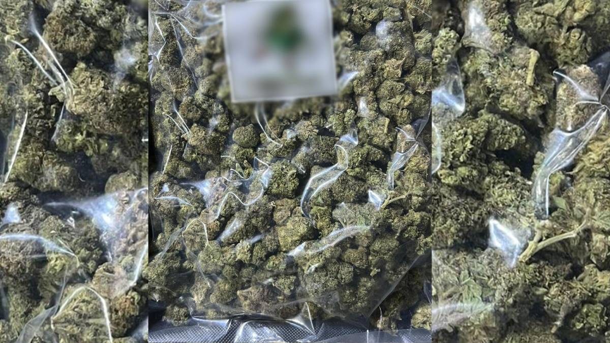 Detienen a una persona y aseguran 761 kilos de mariguana en Coahuila