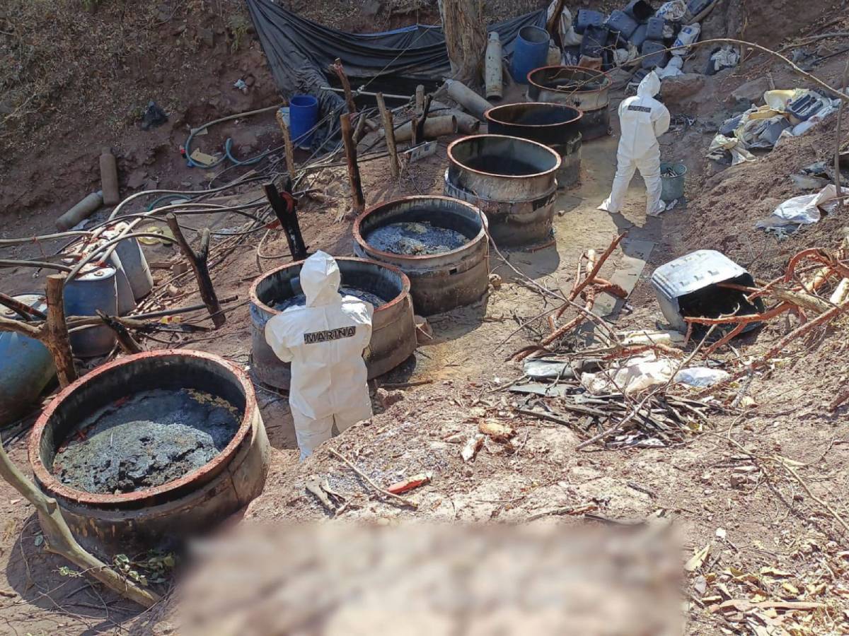 Autoridades desmantelan cinco narcolaboratorios en Sinaloa, Jalisco y Nayarit