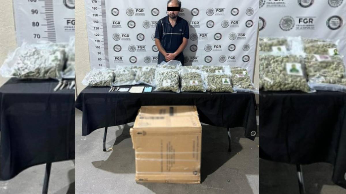 Detienen a una persona y aseguran 761 kilos de mariguana en Coahuila