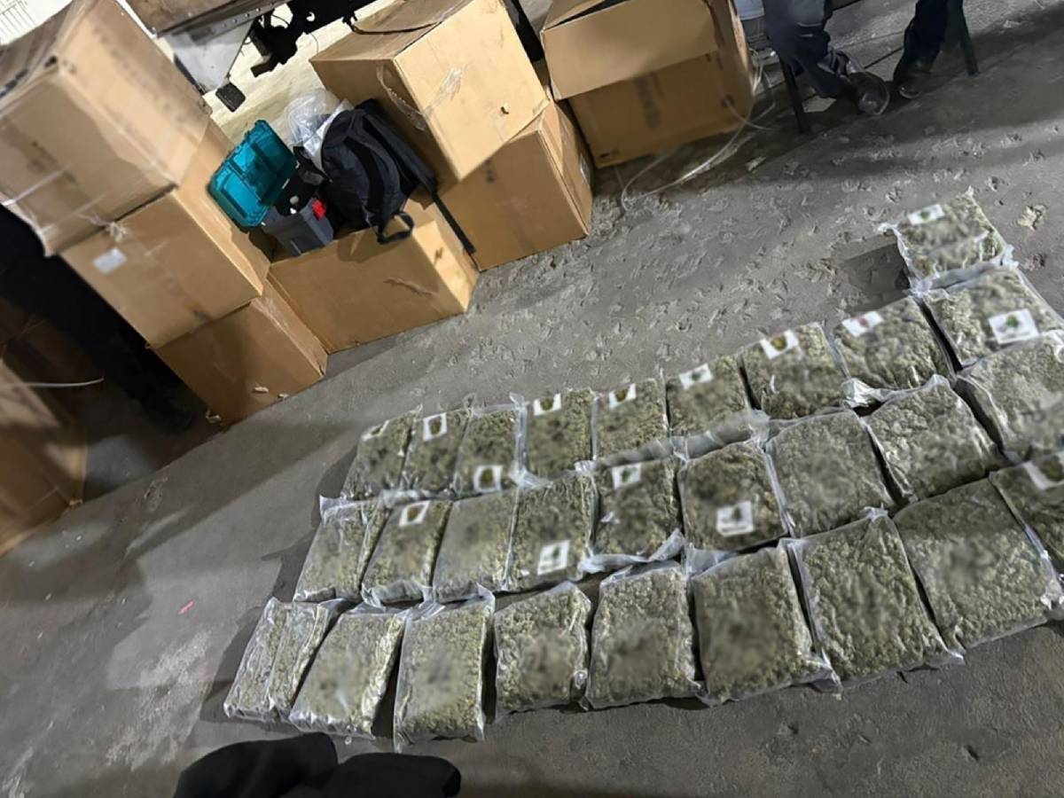 Detienen a una persona y aseguran 761 kilos de mariguana en Coahuila