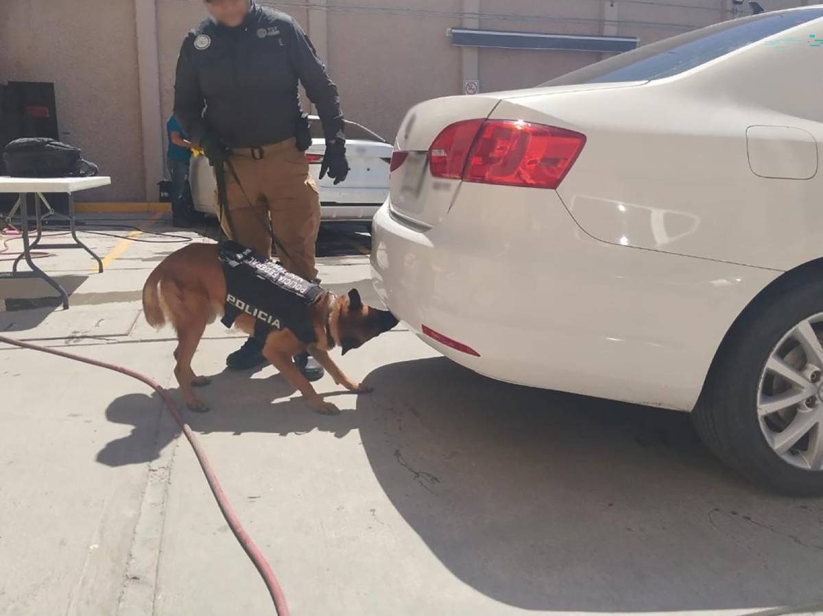 Aseguran 20 kilos de metanfetamina y 25 mil dosis de fentanilo en Chihuahua