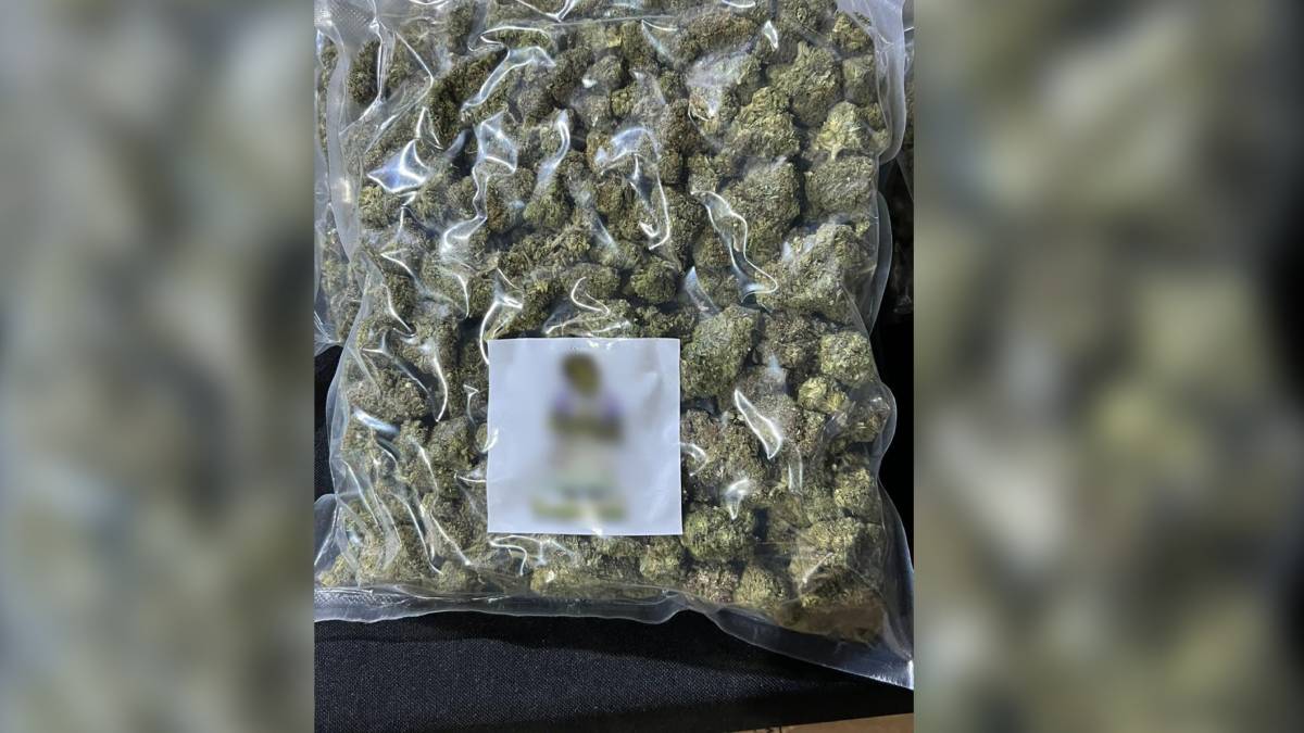 Detienen a una persona y aseguran 761 kilos de mariguana en Coahuila