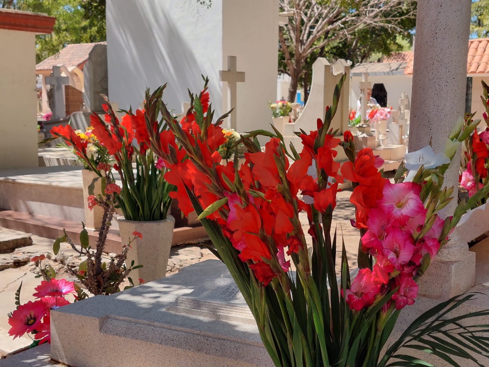Panteón de Guamúchil