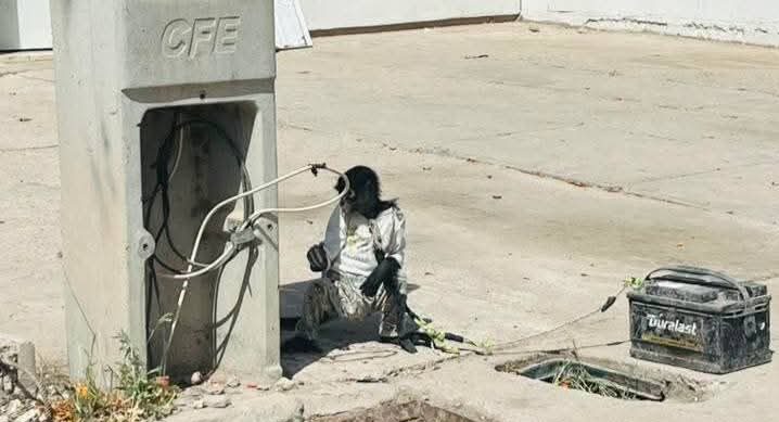 Abandonan a mono en Los Virreyes de Los Mochis, Sinaloa