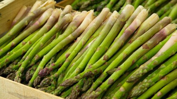 ¿Comes espárragos? Estos son sus sorprendentes beneficios para la salud