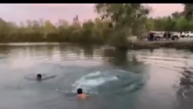 Captura de pantalla del video 