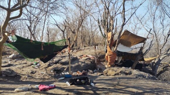 Descubre la Marina campamento clandestino con granadas para dron y munición en la sierra de Elota y Rosario, Sinaloa