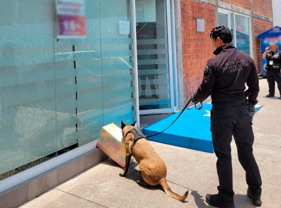 Encuentran droga en dulces en empresa de paqueria en Michoacán