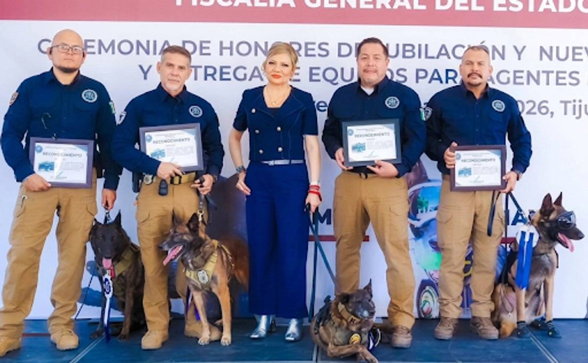 Fiscalía de Baja California rinde homenaje a agentes caninos K9 jubilados