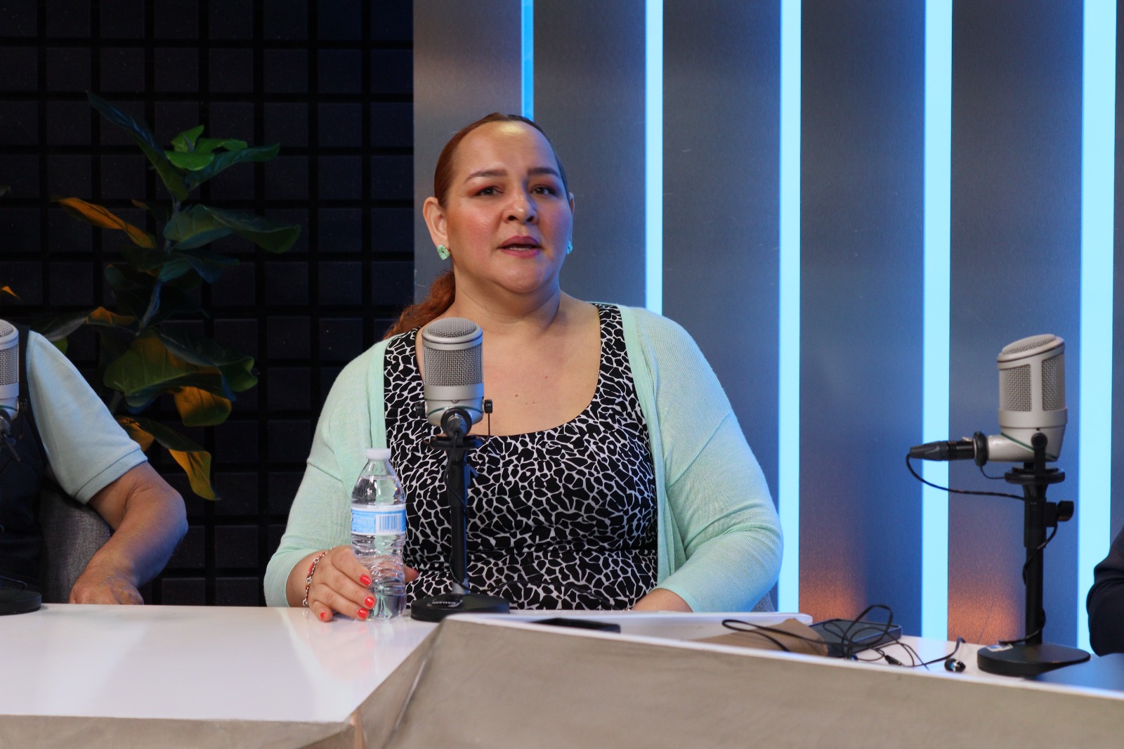 La maestra Elvira Guevara, del movimiento contras las altas tarifas de CFE