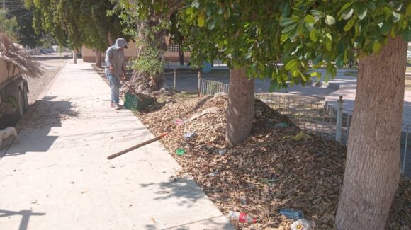 Por calor extremo, Ayuntamiento reducirá horario a trabajadores de Parques y Jardines en Guasave, desde este sábado