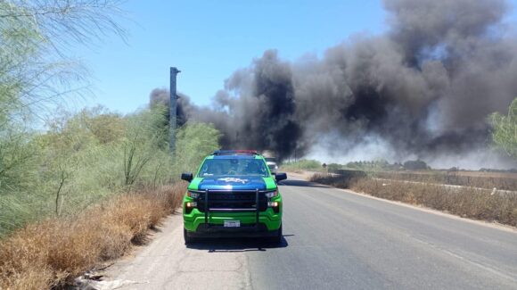 ¡Con mucho trabajo! Unidad Ambiental atendió 36 reportes en una semana en Guasave, Sinaloa