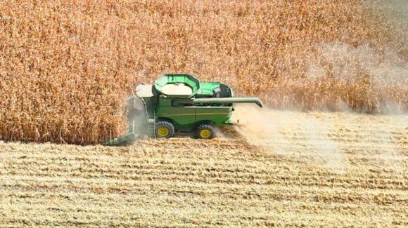 AARSP busca elevar la rentabilidad del campo con nuevas tecnologías y evaluación de híbridos de maíz, en Guasave
