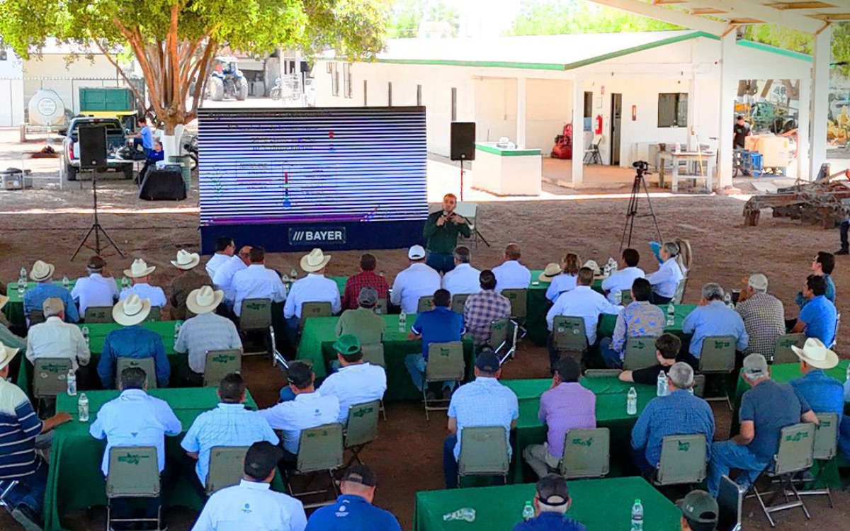 Asociación de Agricultores del Río Sinaloa Poniente