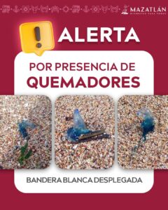 Alerta de quemadores en playa de Mazatlán