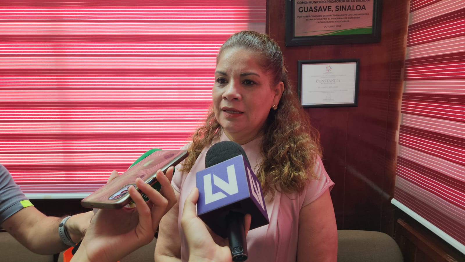 Amalia Leyva Castro