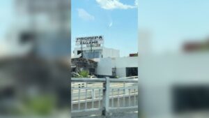 Anuncio dirigido a Profepa en Culiacán