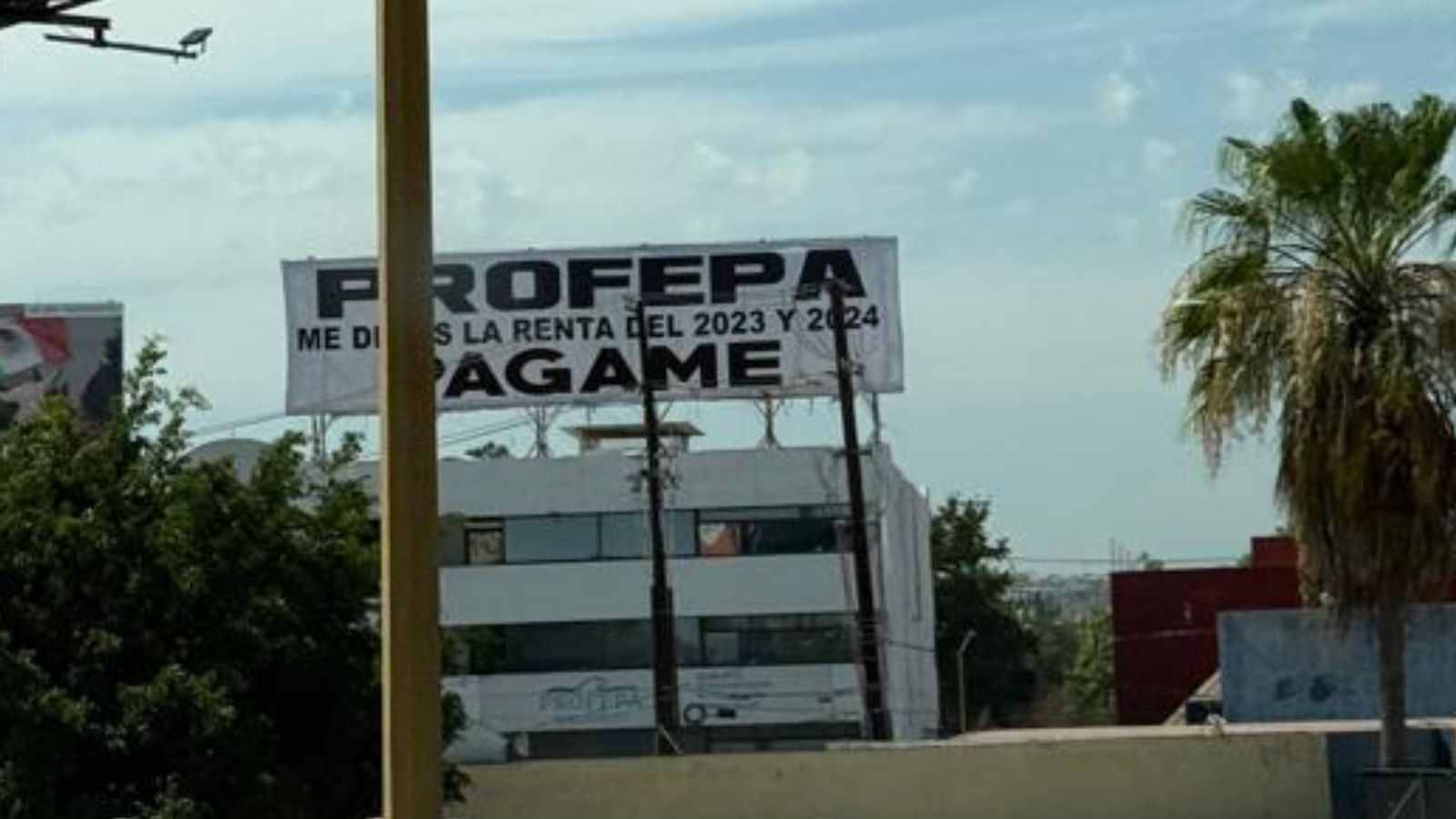 Anuncio dirigido a Profepa en Culiacán