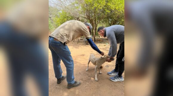 Aplican garrapaticida en cientos de hogares de El Fuerte, Sinaloa, para erradicar la rickettsia
