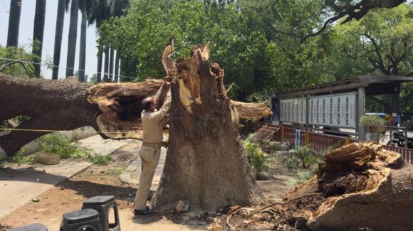 Tormenta en Uttar Pradesh, India, deja 111 muertos y más de 70 heridos