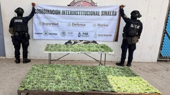 Aseguran más de 800 dosis de presunta marihuana durante operativo en Mazatlán, Sinaloa