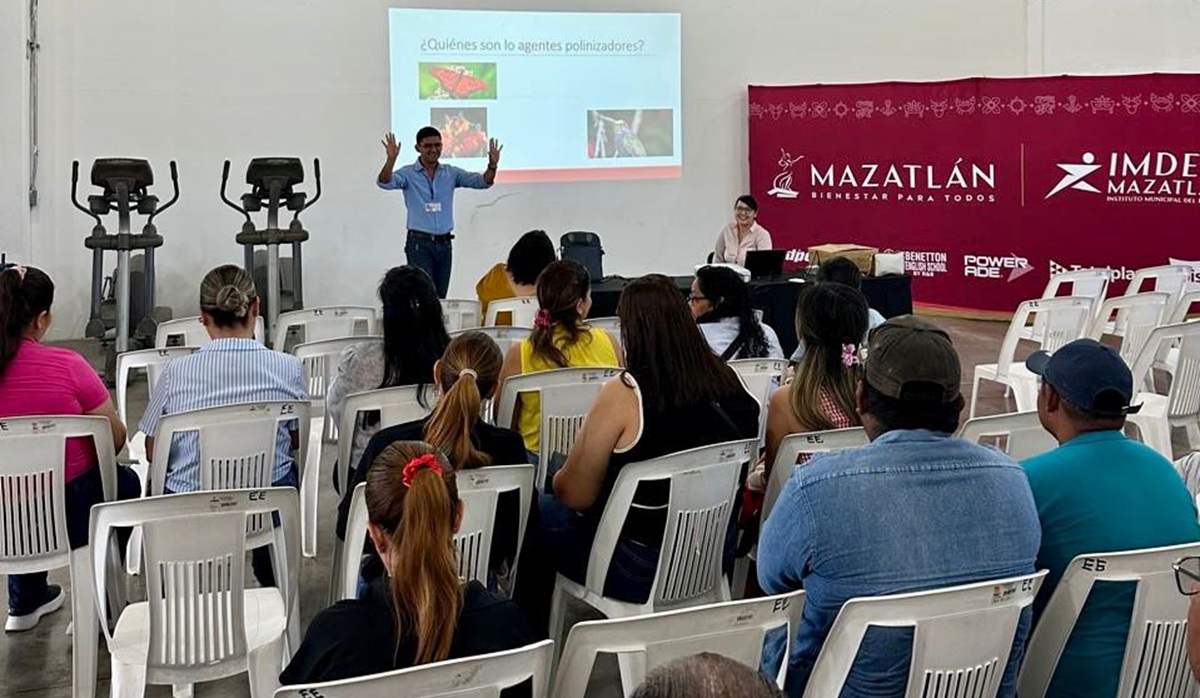 Ayuntamiento de Mazatlán capacita sobre el manejo de abejas