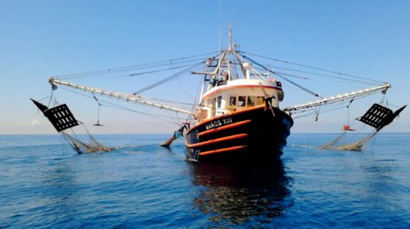 Pesca de altura en Sinaloa enfrenta crisis; hasta 30 mil empleos se han perdido, señala Canainpesca