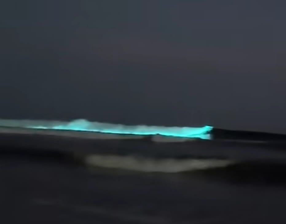 Bioluminiscencia en Playa Las Glorias, Guasave