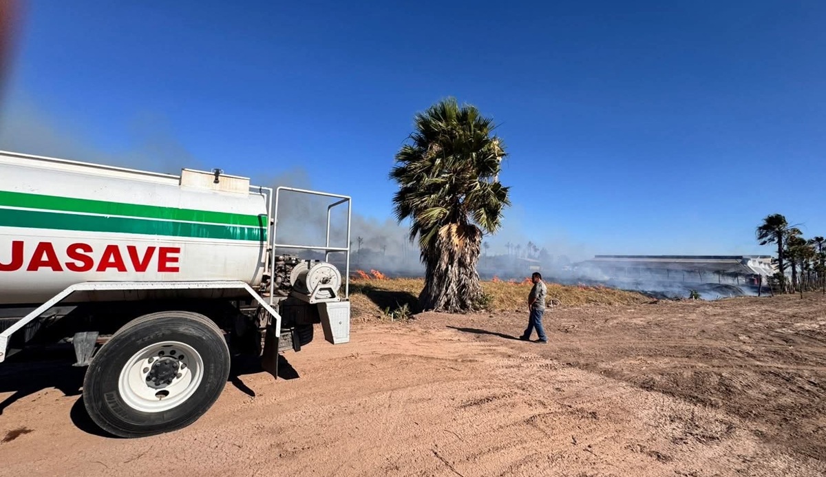 Bomberos de Guasave combaten incendio de soca