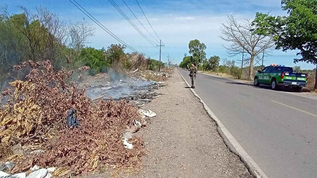 Incendio de maleza sobre la carretera a El Burrión, Guasave